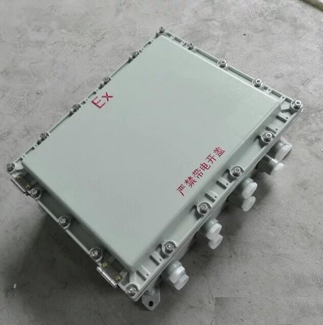 BXJ53防爆接线箱/电缆端子分线箱