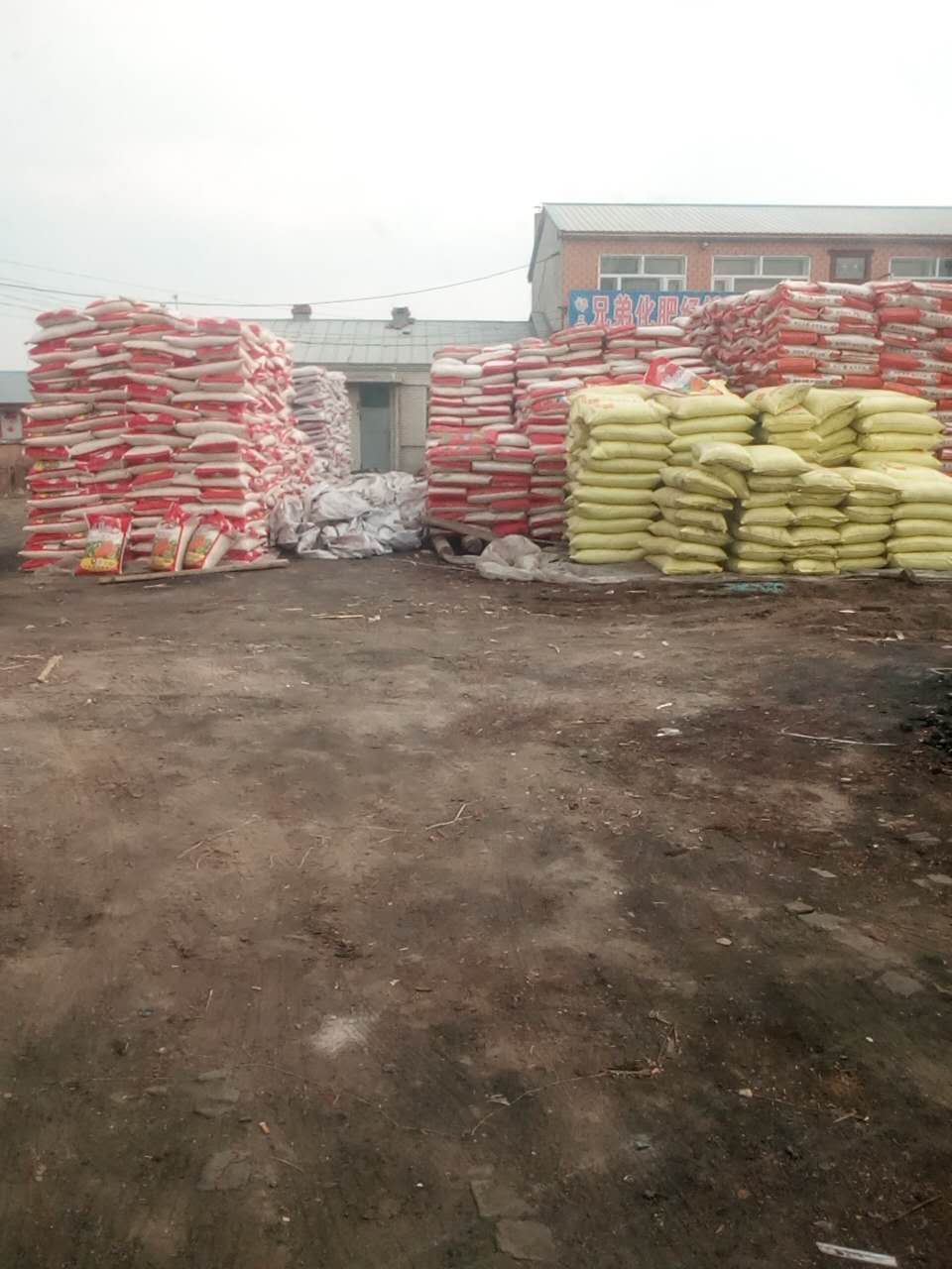黑龙江大庆市优质玉米供应价格 _玉米淀粉的营养价值
