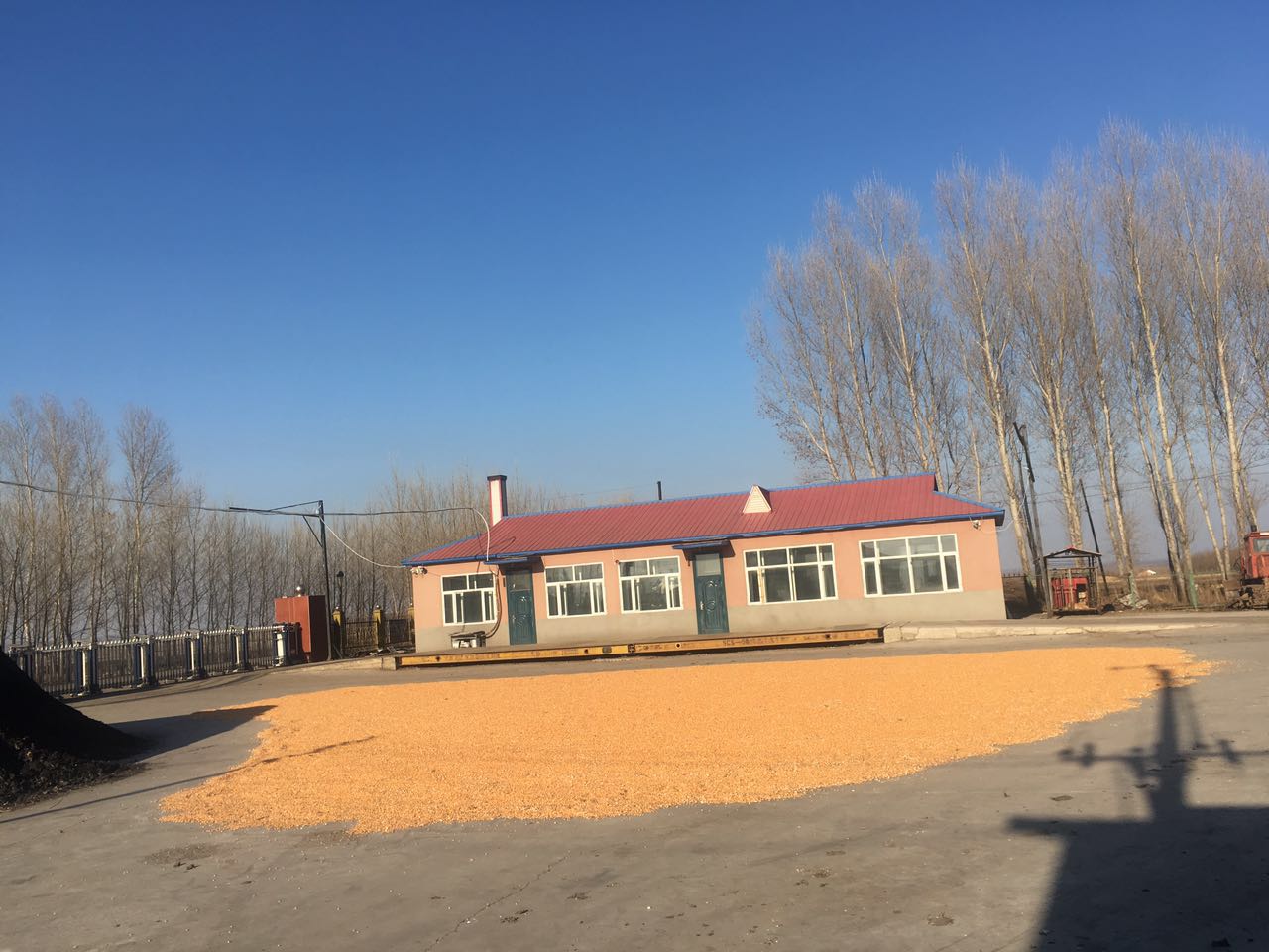 黑龙江绥化市玉米批发供应销售找哪家 _玉米淀粉的营养成分