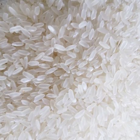宁安种植合作社水稻大米批发 东北原生态大米供货商