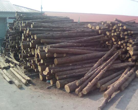 林口厂家批发红松樟子松板材 牡丹江建筑用木方工程方 支持定制