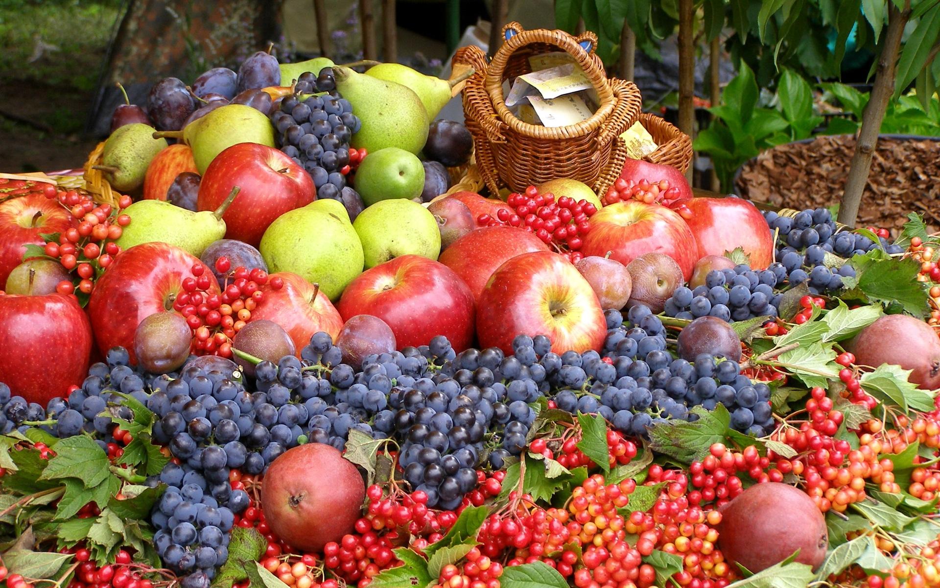 印尼水果进口关税