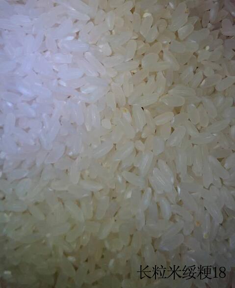 桦川合作社直供长粒大米 佳木斯优质原生态大米 长粒米批发
