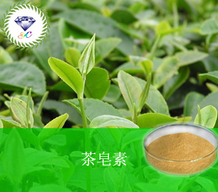 供应珠海茶皂素供应商茶皂素价格茶皂素厂家直销