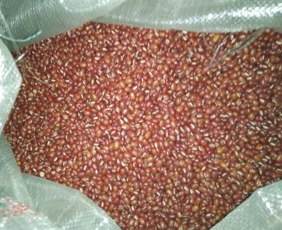 汪清厂家批发红小豆 东北优质红小豆 精选红豆价格