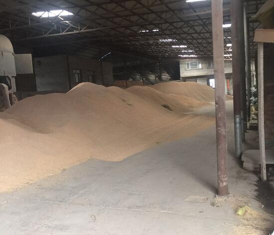 方正粮米产销中心 优质品种水稻稻谷 常年供货