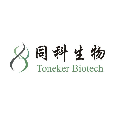 TonkBio RT Reagent Kit for qPCR）