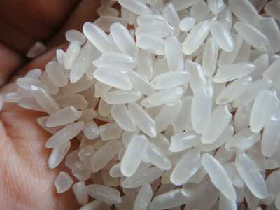 林口优质水稻品种龙稻18种植合作社 **稻米加工大米