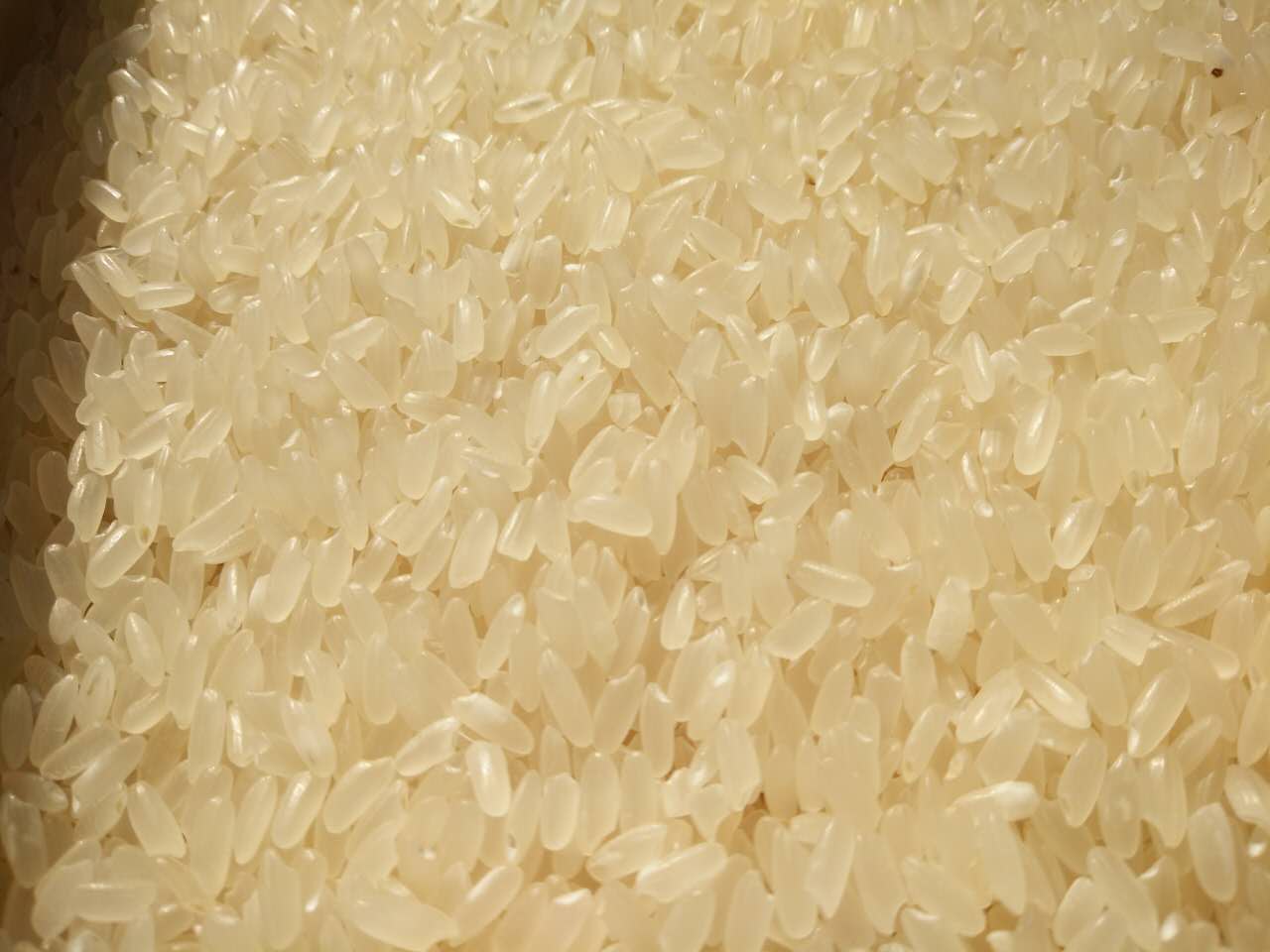 东北大米黑龙江优质大米批发找哪家 _黑龙江大米优质稻米供应销售