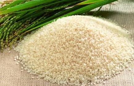 密山市粮米加工厂 水稻精细加工