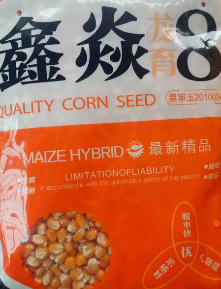 延寿县种业公司优质品种种子 龙育8号玉米种子 抗病抗倒