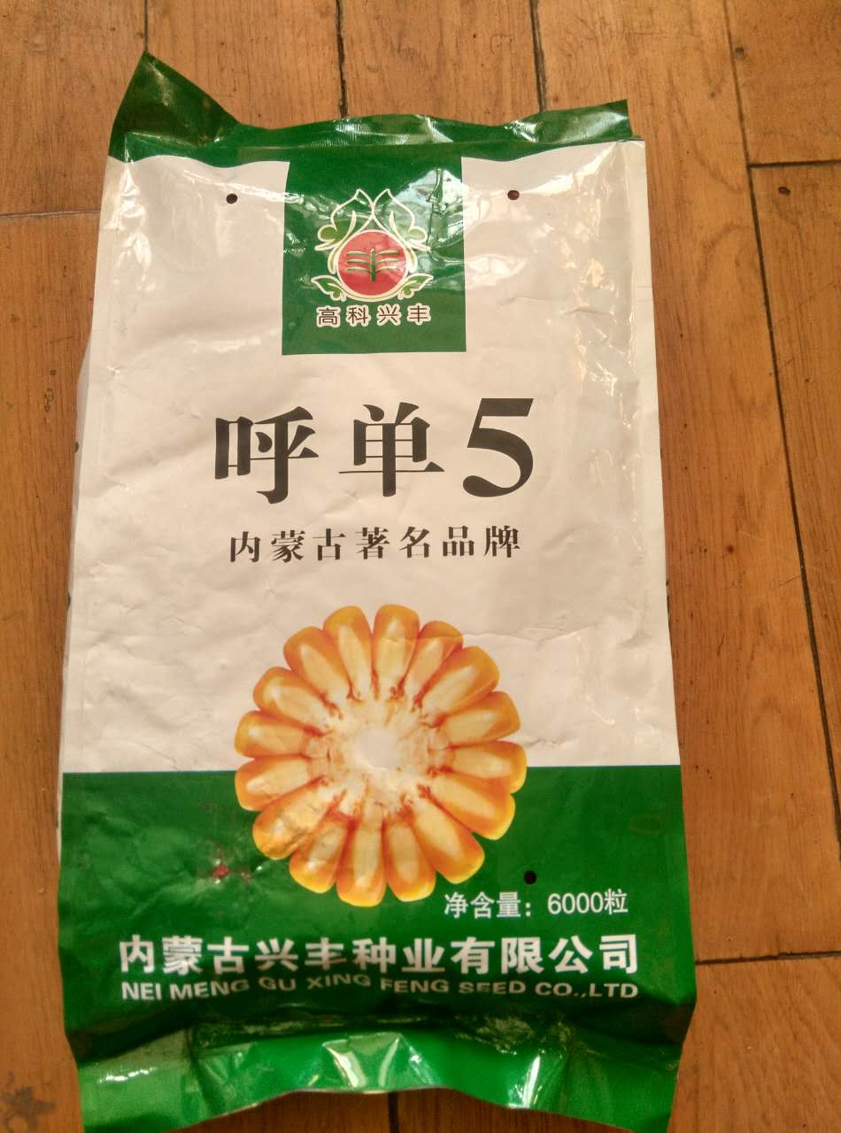 黑龙江哈尔滨优质玉米供应销售，哈尔滨优质玉米批发价格
