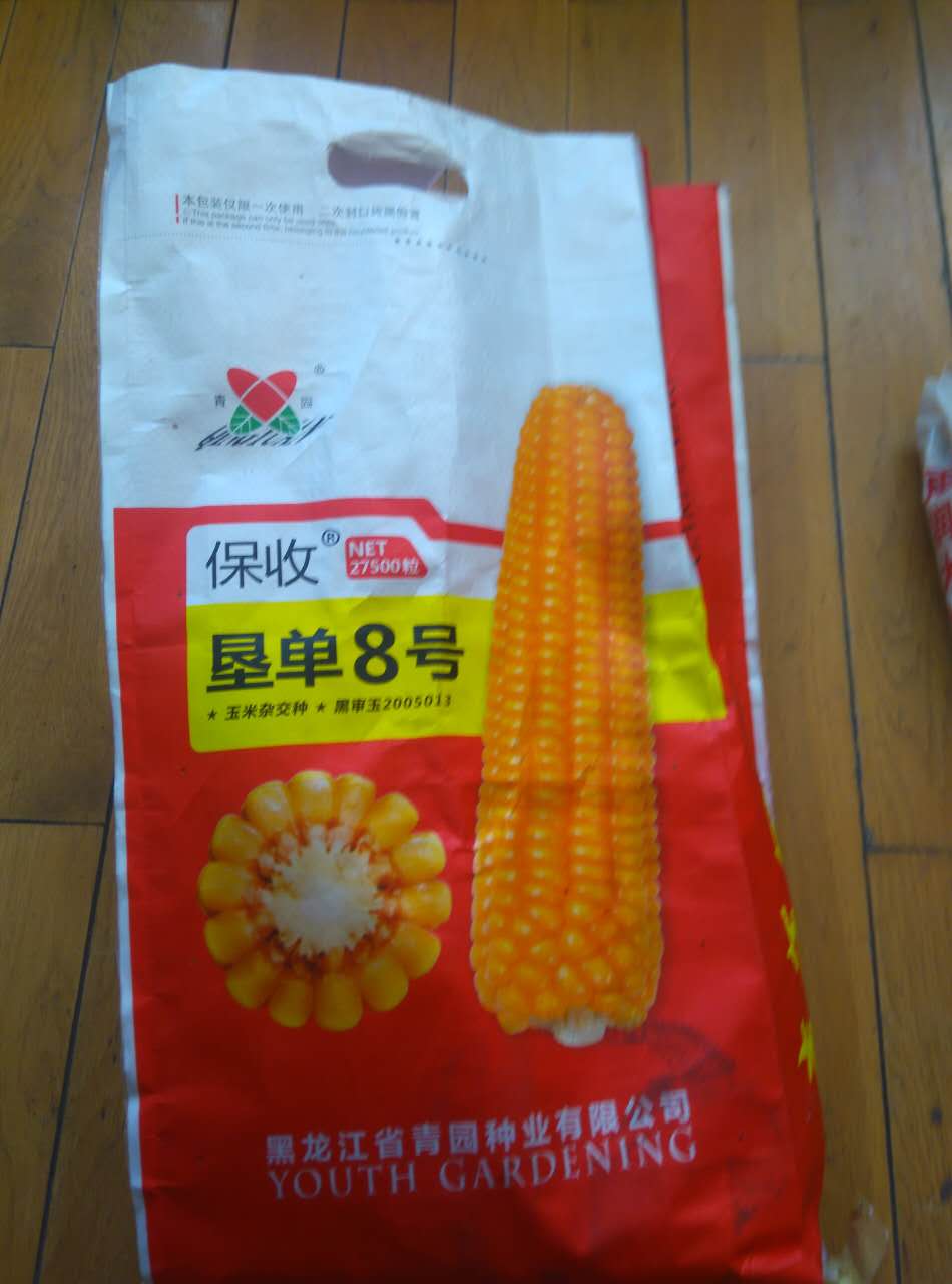 黑龙江哈尔滨玉米种子供应销售，黑龙江龙单60玉米种子销售