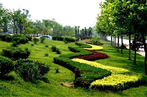 天津市哪家园林绿化专业
