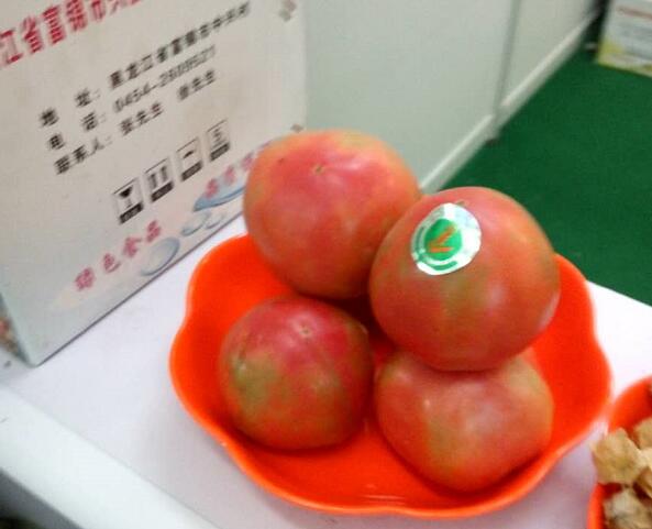 富锦市绿色蔬菜西红柿种植销售