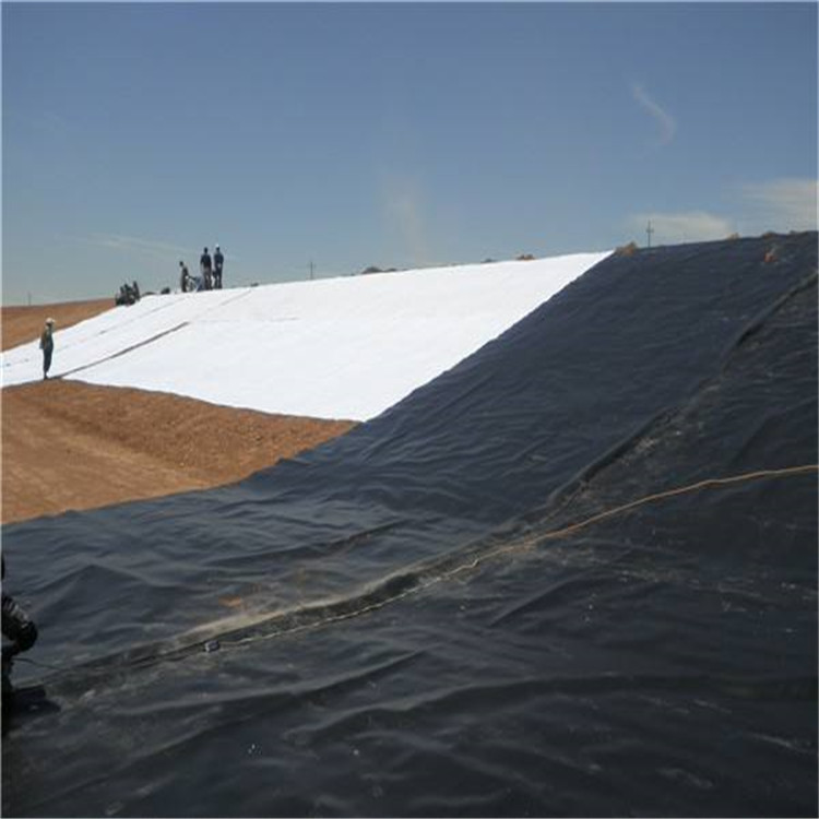 供应兰州HDPE土工膜|酒泉土工膜|防渗复合土工膜厂家