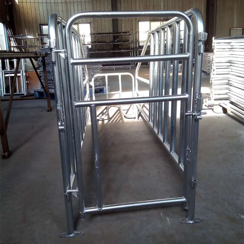 母猪产床定位栏猪用设备自动化双体复合板产床价格养猪设备
