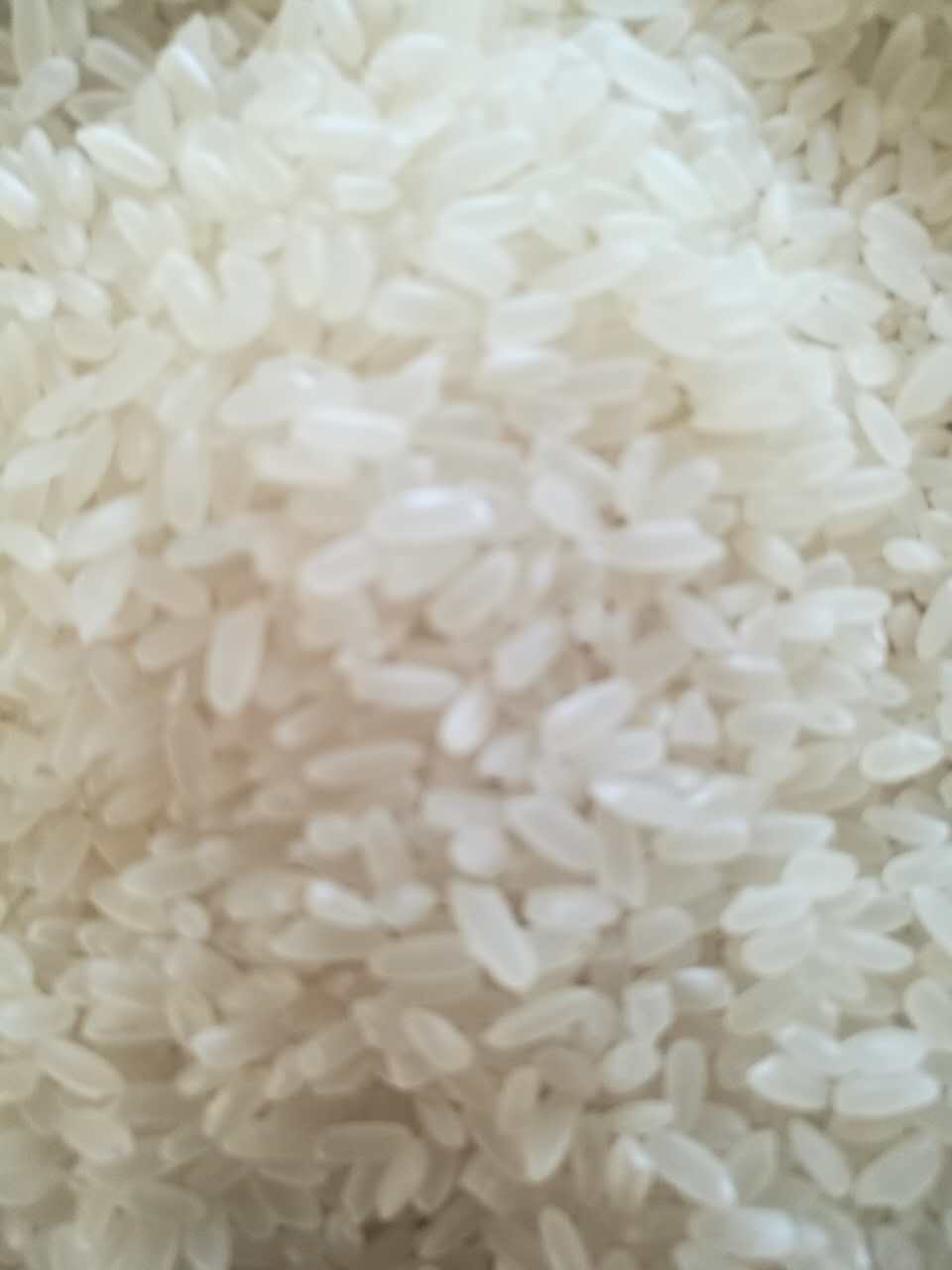 黑龙江大米精品大米找哪家，黑龙江优质水稻供应销售