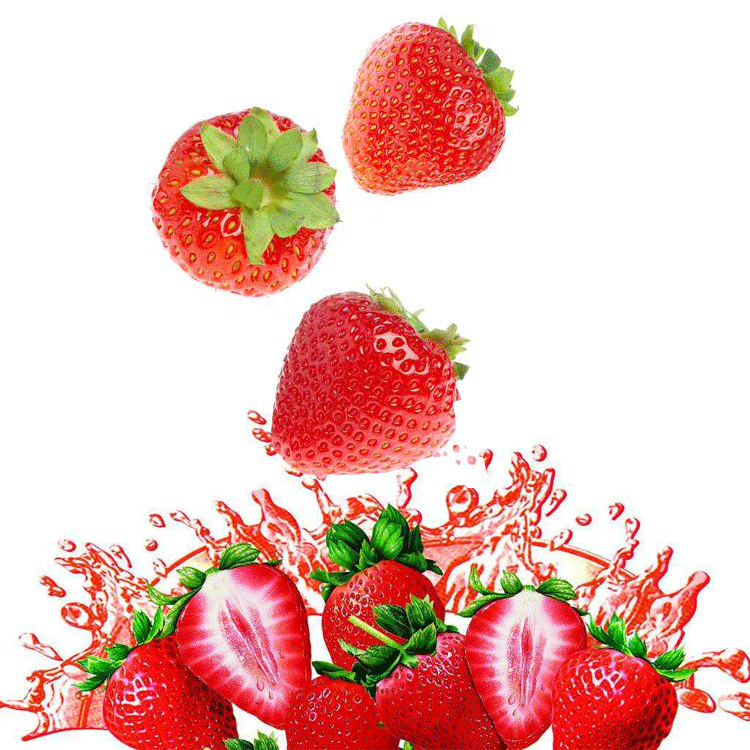 实验室研发用小型草莓果汁饮料生产线