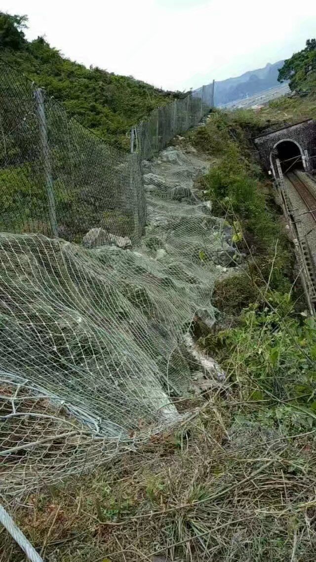 建筑主动防护网.植草主动网.包塑电焊网卷库存