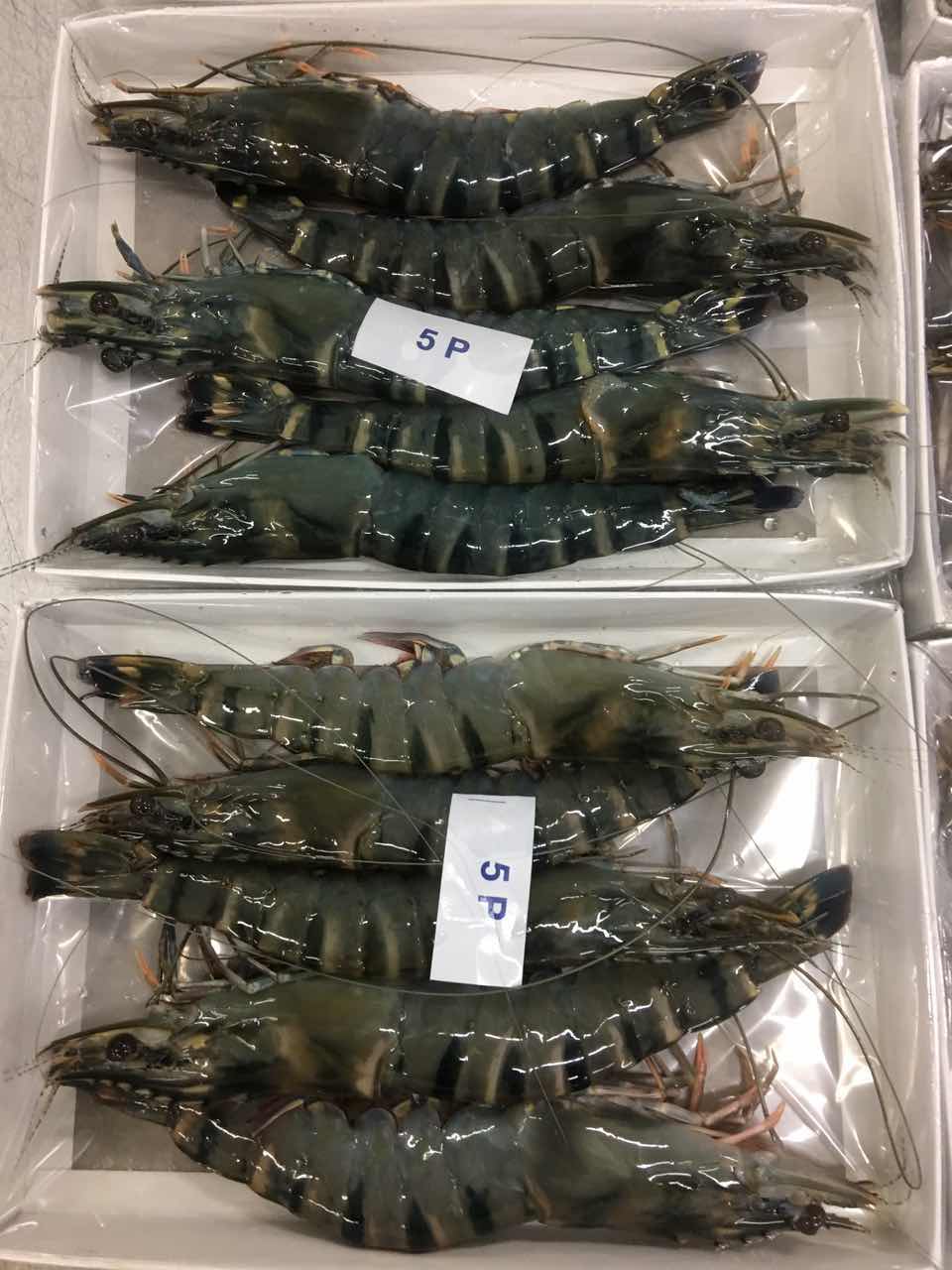 马来西亚进口冷冻草虾