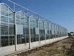 福建玻璃温室，山东优质的玻璃连栋温室