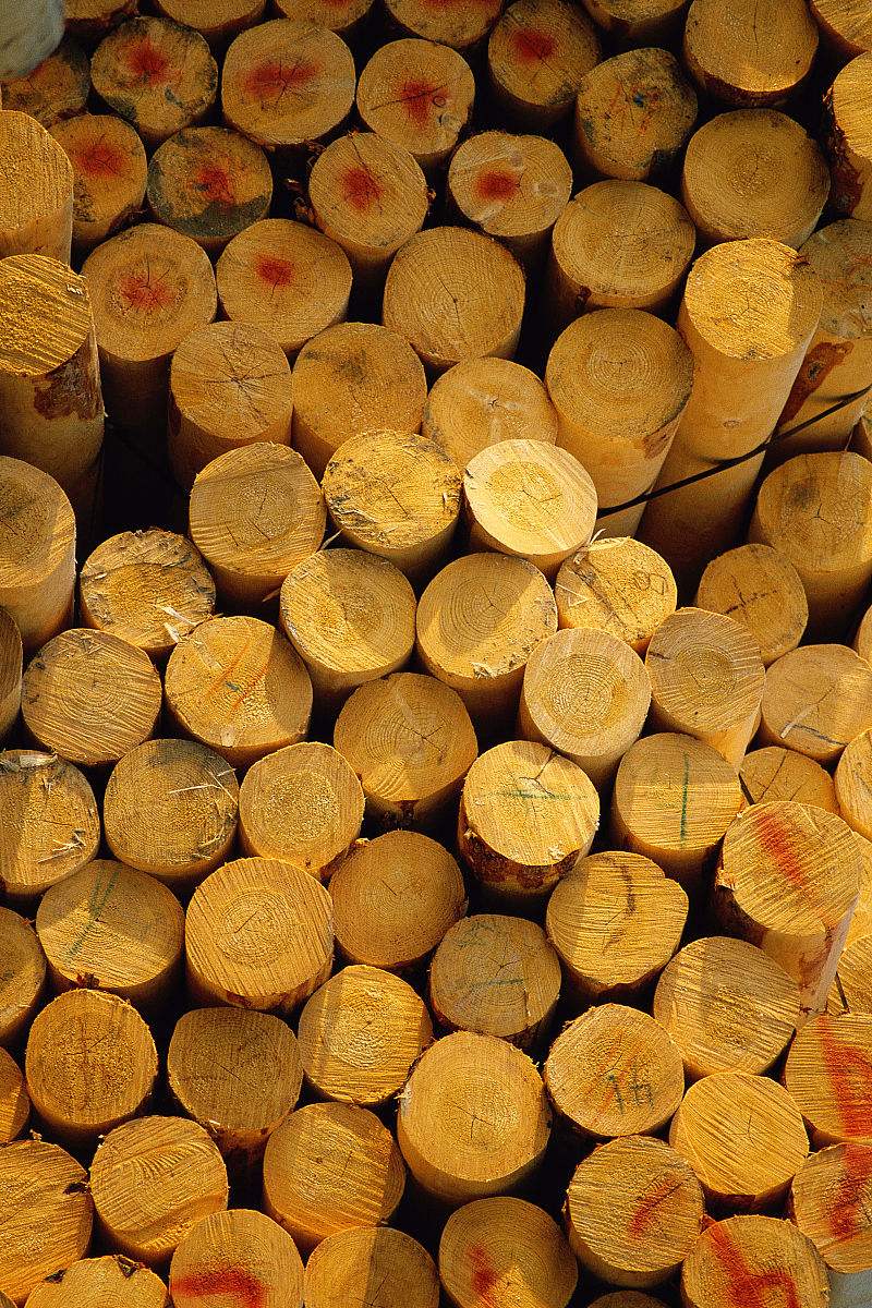 绥芬河木业公司 绥芬河木材加工厂