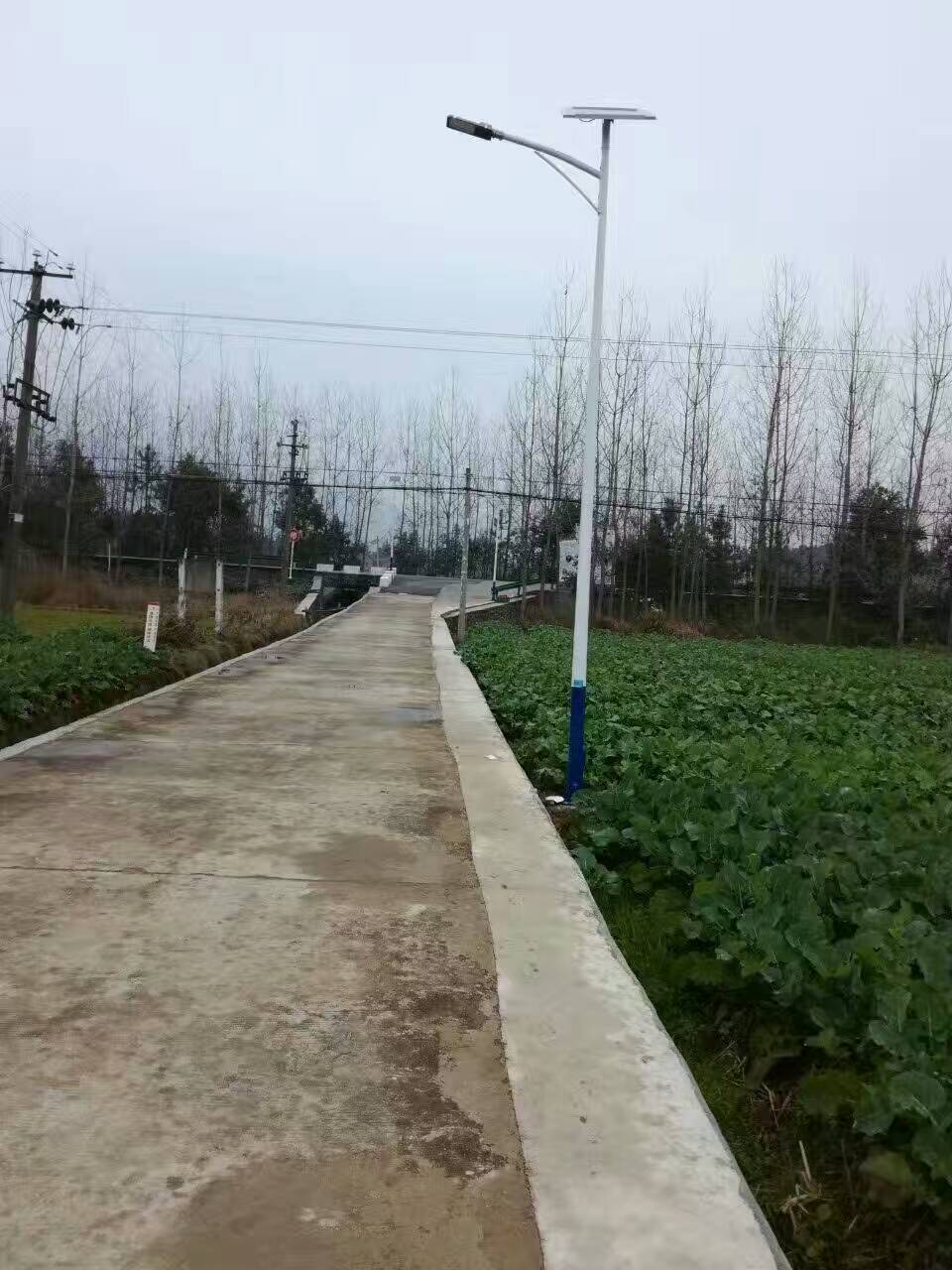 供应咸宁5米6米太阳能路灯厂家直销/扬州太阳能路灯厂家
