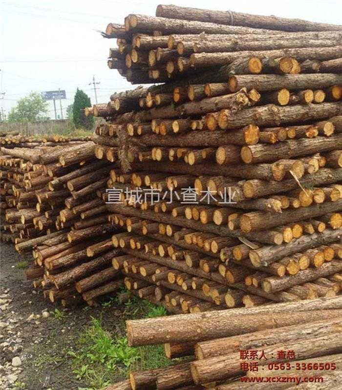 杉木桩厂家-宣城小查木业-杉木桩