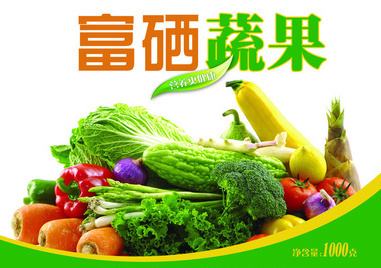 2024年中国南京国际富食品博览会盛大启航