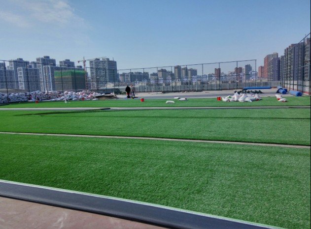 济南足球场草坪施工团队 专业技术 纪律严明 价格低廉