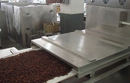 微波隧道式红枣干燥设备