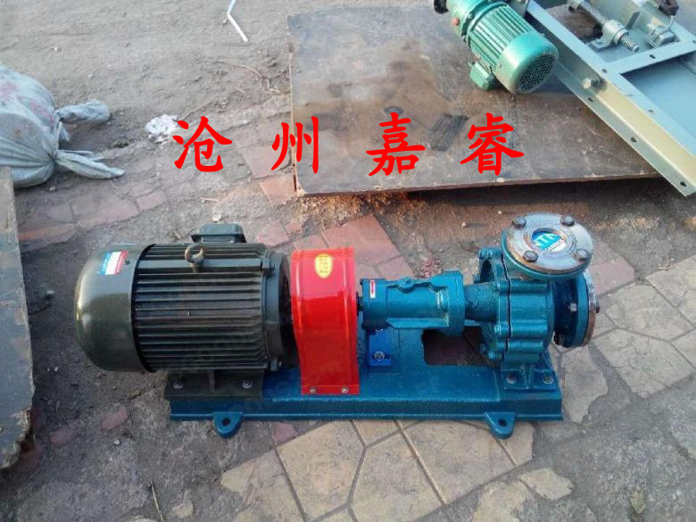 沧州嘉睿泵业长期生产ry40-25-160导热油泵铸铁高温介质输送