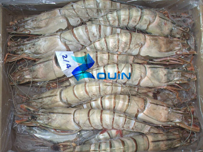 宁波冷冻虾进口代理公司