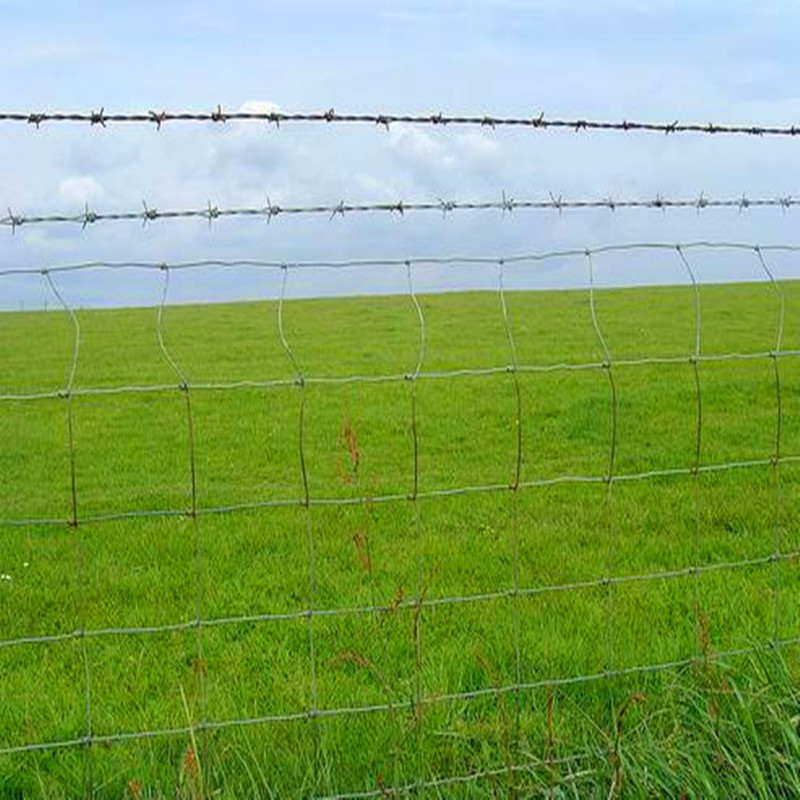 家畜养殖**牛栏网围栏，供应齐齐哈尔养牛铁丝网