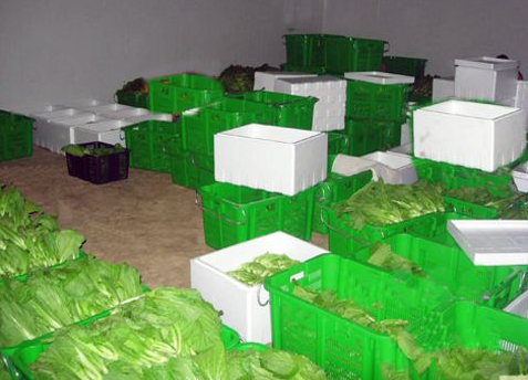 亳州市蔬菜保鲜冷库厂家建造 找雪坊制冷