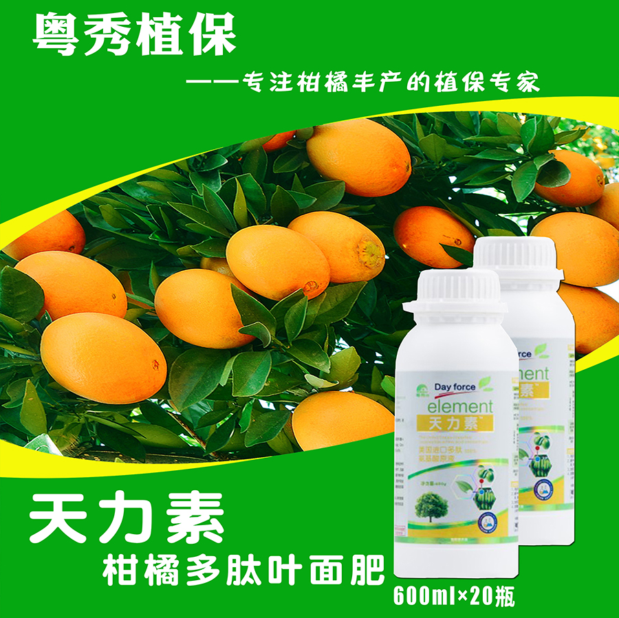 柑橘裂果怎么办 柑橘高钙叶面肥 多肽叶面肥生产厂家