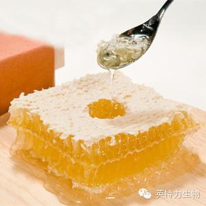 江西药用蜂蜜原料 江西蜂蜜原材料 好蜂蜜就选花汇宝