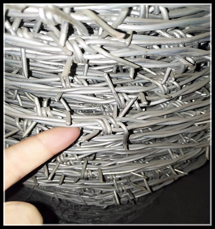 刺铁丝隔离栅，刺绳隔离网，边防刺丝围栏网，刺绳柱