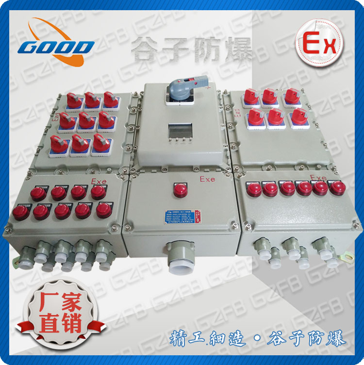 BXM D）-10/K125A 十回路防爆电箱 带漏电塑壳开关 Exd 非标配电箱