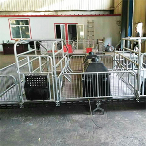 沧州利祥农牧养猪设备厂促销各种新型母猪产床，单体双体漏粪板猪用产床