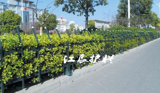 绿化带护栏供应商
