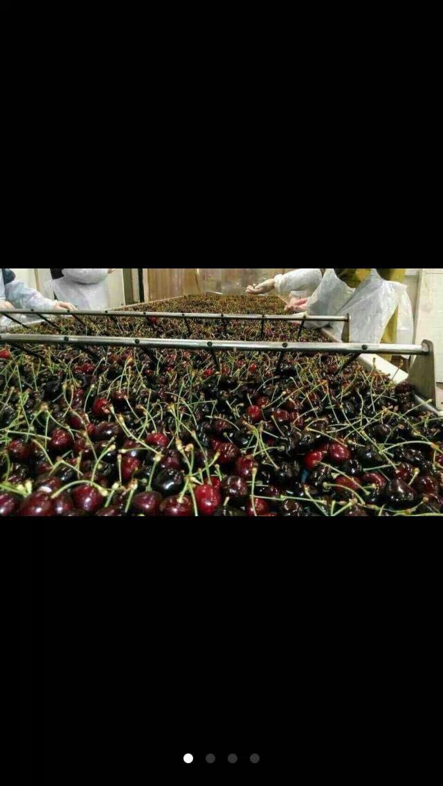 ——宁波大型水果外贸进出口有限公司