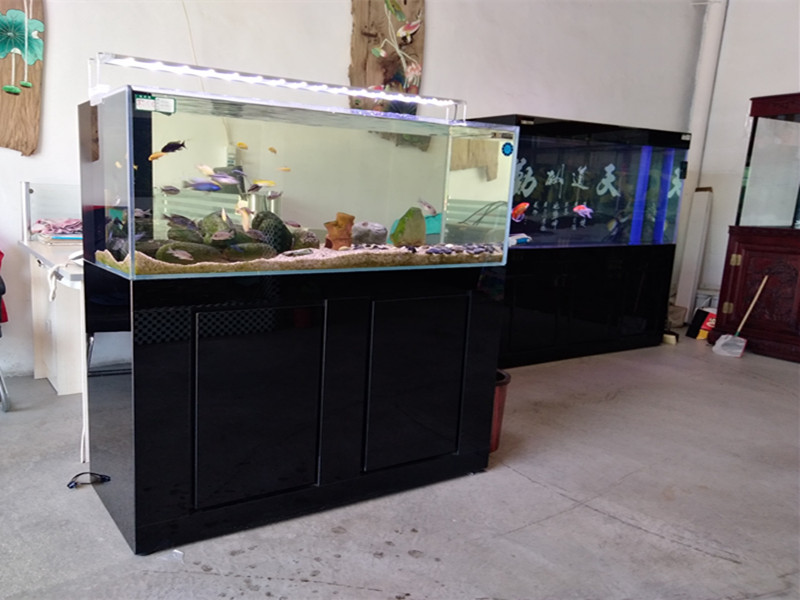黑钻版 海草缸 生态鱼缸 鱼缸定做 保定鱼缸