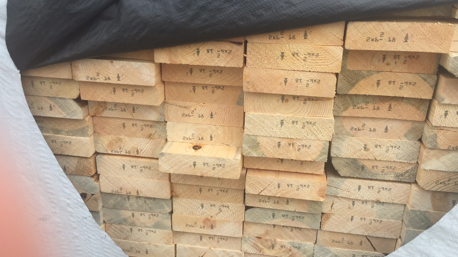 南京建筑模板方木