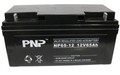 PNP蓄电池12V120AH