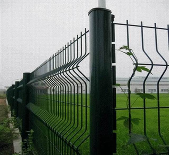 鸟岛外围桃形柱护栏
