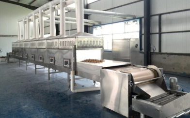 Microwave drying and sterilization equipment for food