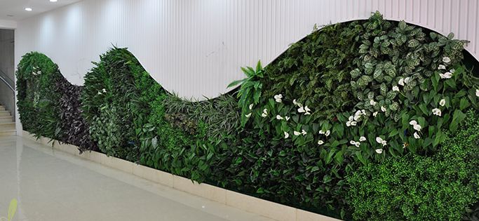 智能植物墙绿植墙生态墙绿墙墙面绿化全城**进行中