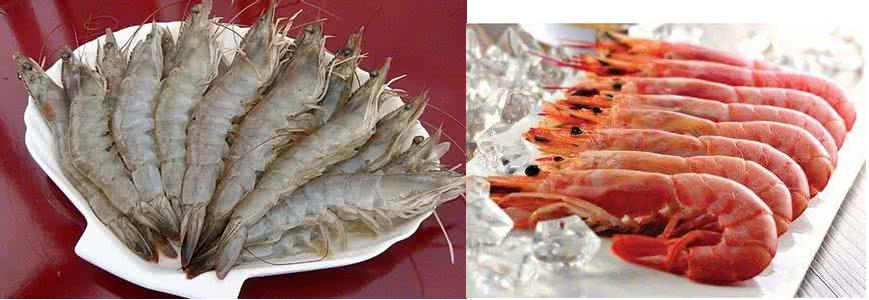 广州进口阿根廷红虾有哪些手续
